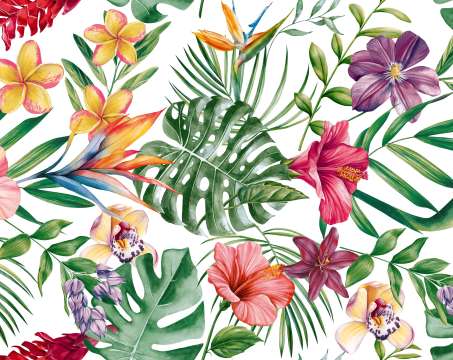 SAM11 CARAIBE  color