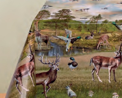 ONB3 RAMBOUILLET nature