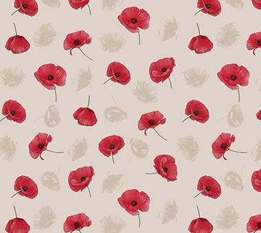 RONDE 25  160 cm 4Z7/01